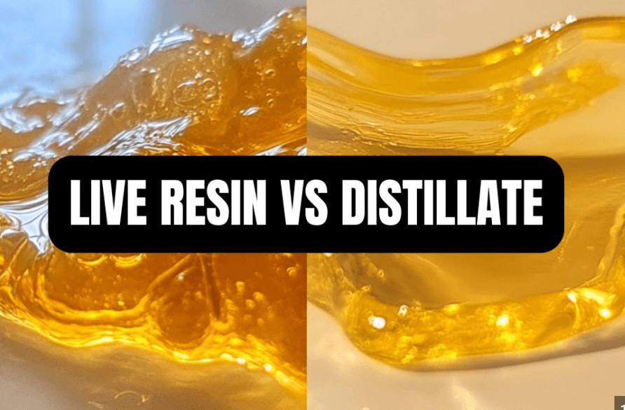 Live Resin vs. Cured Resin vs. Distillate: What's Actually in Your Cart