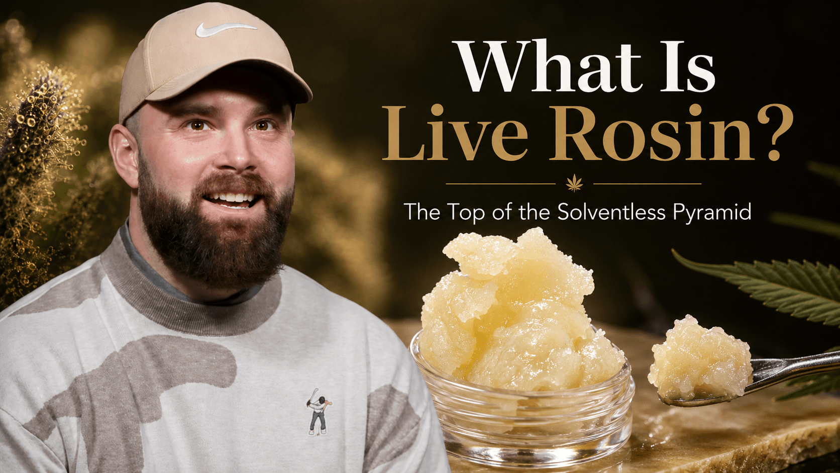 What Is Live Rosin? The Top of the Solventless Pyramid