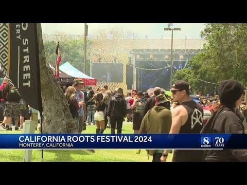 Independent YouTuber reviews Halara Cannabis all-in-one vapes and rates the flavor and hardware