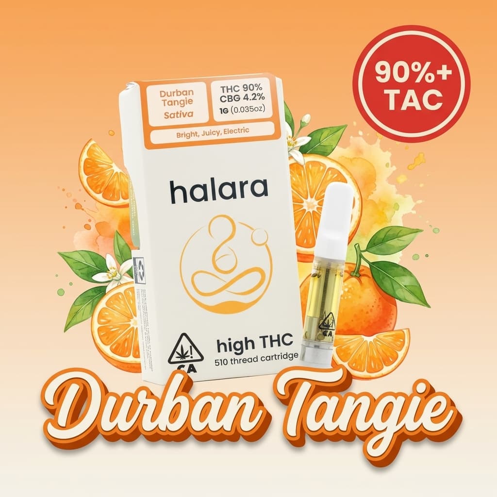 Durban Tangie