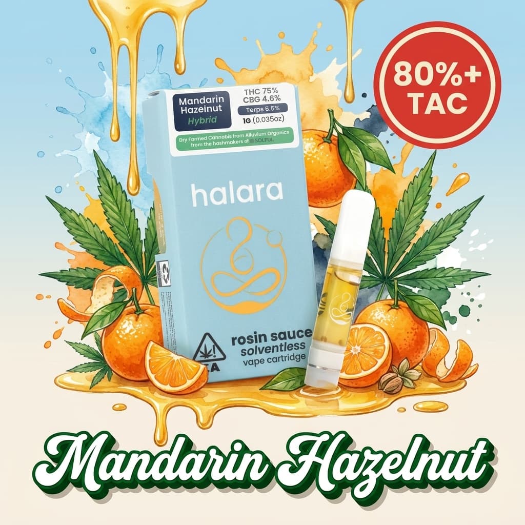 Mandarin Hazelnut