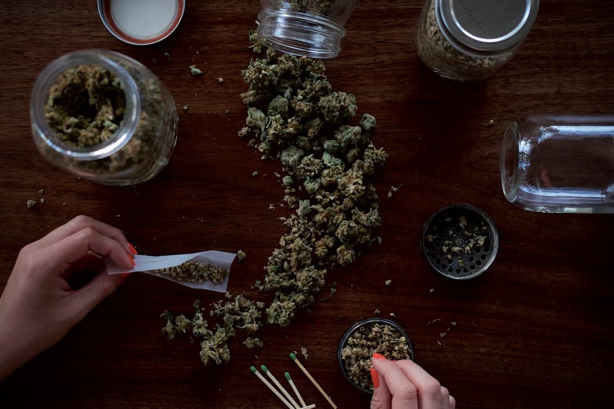 Dry-Farmed Cannabis: Why Less Water = More Flavor