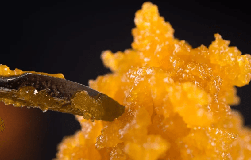 Nick's Strain Selection Process (Or: Why We Say No to 90% of Flower)