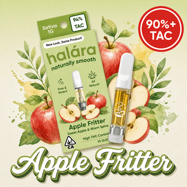 Apple Fritter