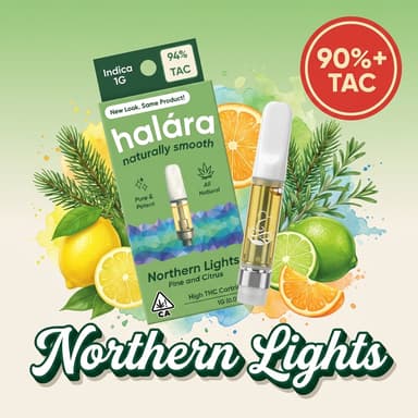Northern Lights