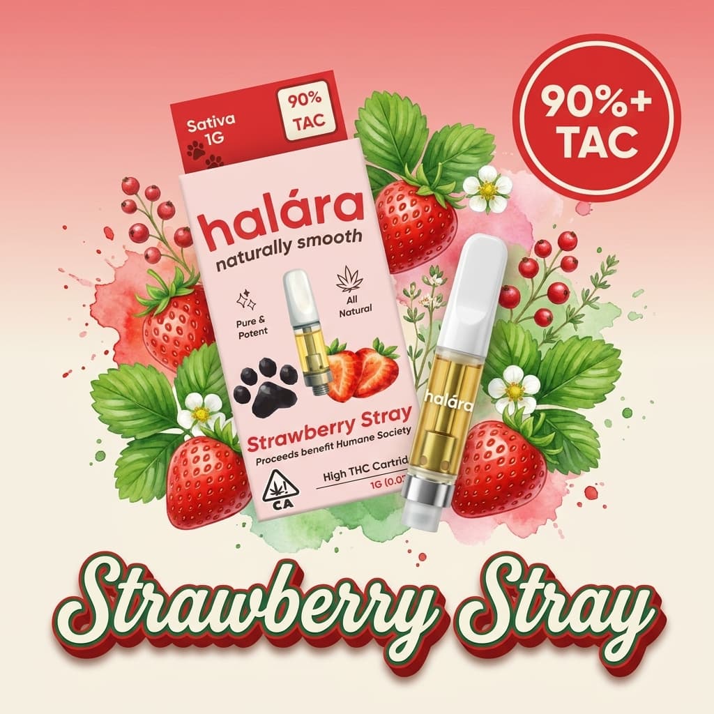 Strawberry Stray
