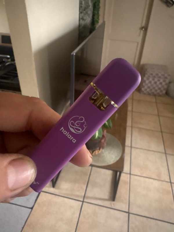 Halára customer photo — purple daddy