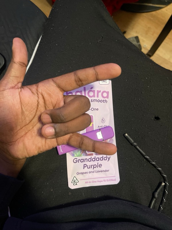 Halára customer photo — purple daddy