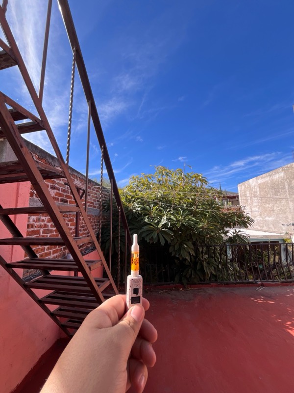 Halára customer photo — blue dream