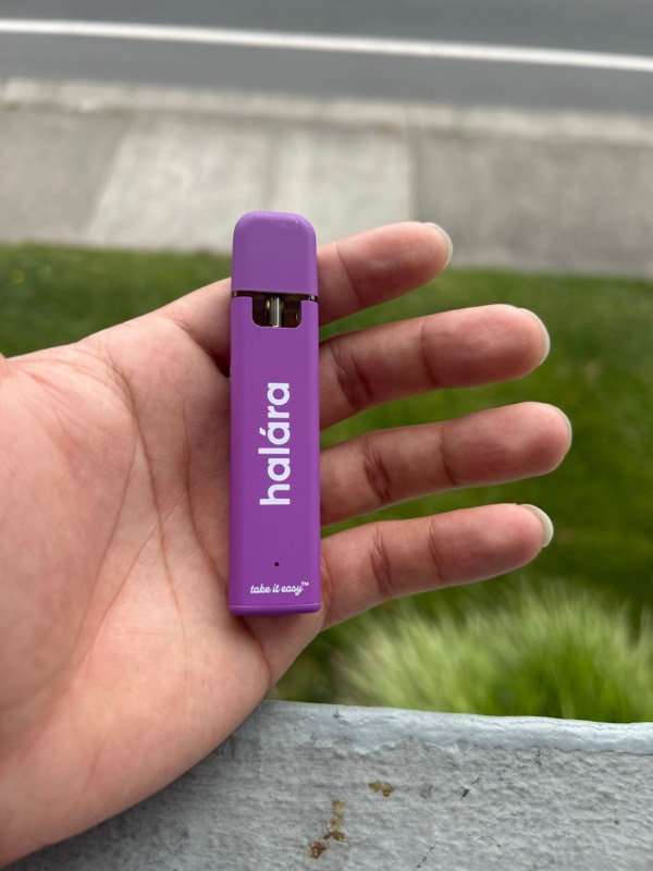 Halára customer photo — purple daddy